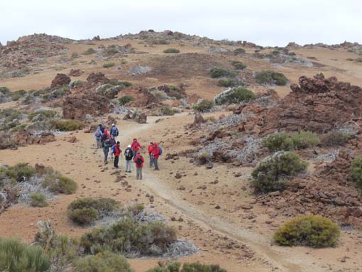 Teneriffa-Wandern-809-MontBlanca-ElPortillo