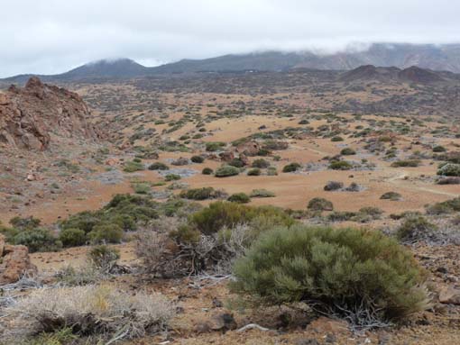 Teneriffa-Wandern-811-MontBlanca-ElPortillo