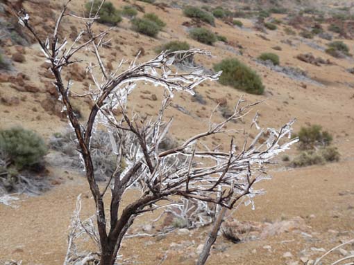 Teneriffa-Wandern-813-MontBlanca-ElPortillo