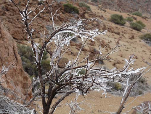 Teneriffa-Wandern-814-MontBlanca-ElPortillo