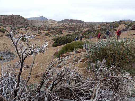 Teneriffa-Wandern-815-MontBlanca-ElPortillo