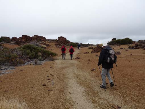 Teneriffa-Wandern-816-MontBlanca-ElPortillo