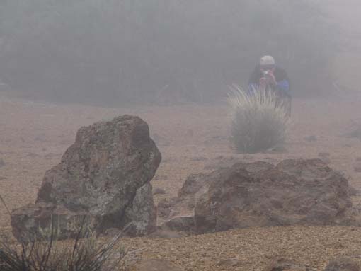 Teneriffa-Wandern-821-MontBlanca-ElPortillo