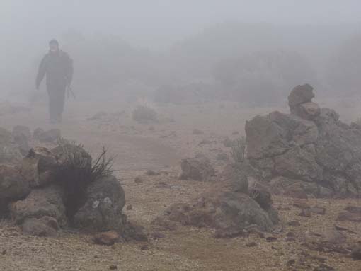 Teneriffa-Wandern-822-MontBlanca-ElPortillo