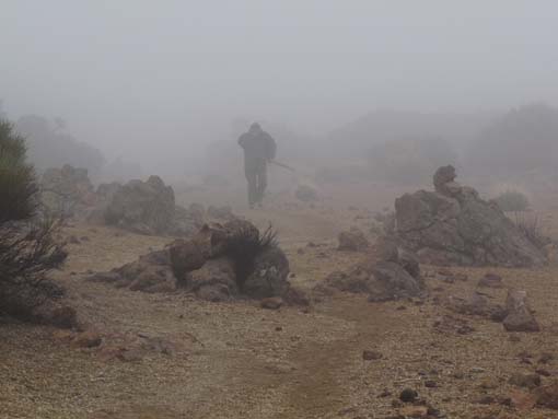 Teneriffa-Wandern-823-MontBlanca-ElPortillo