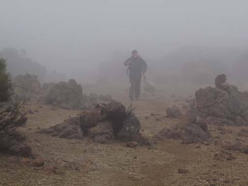 Teneriffa-Wandern-824-MontBlanca-ElPortillo