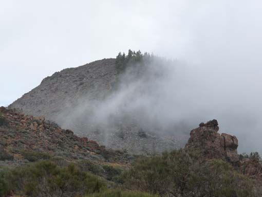 Teneriffa-Wandern-827-MontBlanca-ElPortillo