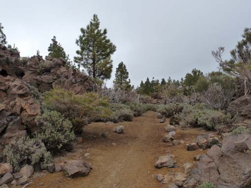 Teneriffa-Wandern-828-MontBlanca-ElPortillo
