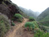 Teneriffa-Wandern-160-Hidalgo-Chinamada-Carmen