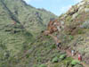 Teneriffa-Wandern-162-Hidalgo-Chinamada-Carmen