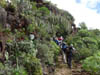 Teneriffa-Wandern-196-Hidalgo-Chinamada-Carmen