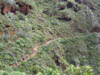 Teneriffa-Wandern-202-Hidalgo-Chinamada-Carmen