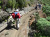 Teneriffa-Wandern-212-Hidalgo-Chinamada-Carmen