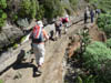 Teneriffa-Wandern-214-Hidalgo-Chinamada-Carmen