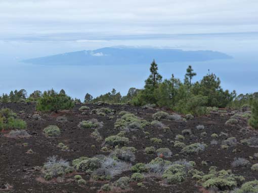 Teneriffa-Wandern-731-Samara-Botja