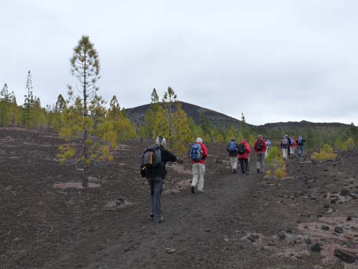 Teneriffa-Wandern-733-Samara-Botja