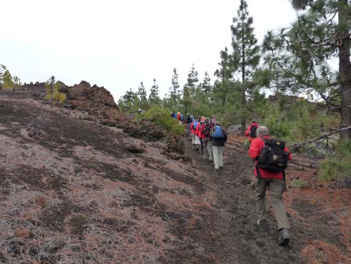 Teneriffa-Wandern-734-Samara-Botja