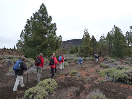 Teneriffa-Wandern-736-Samara-Botja