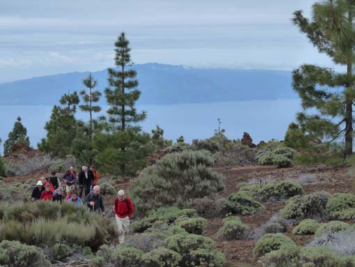 Teneriffa-Wandern-738-Samara-Botja