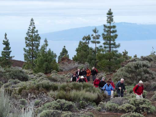 Teneriffa-Wandern-739-Samara-Botja