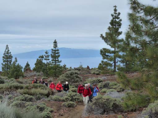 Teneriffa-Wandern-740-Samara-Botja