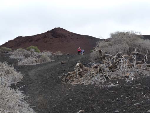 Teneriffa-Wandern-744-Samara-Botja