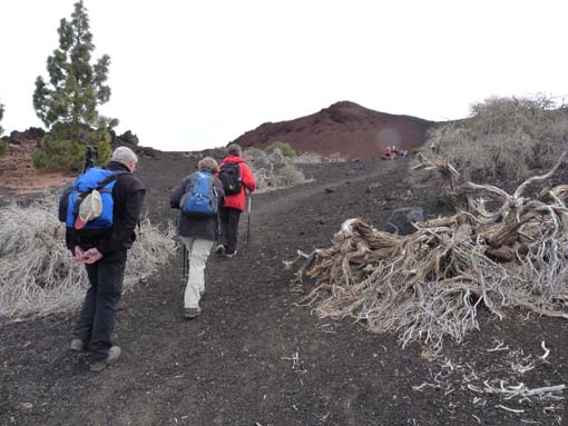 Teneriffa-Wandern-746-Samara-Botja