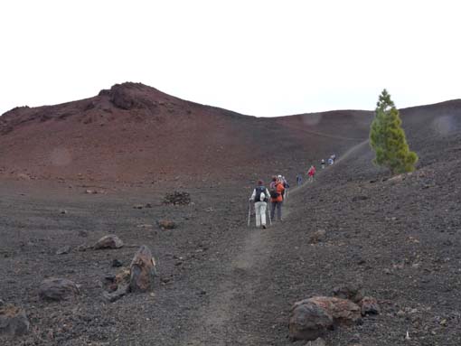 Teneriffa-Wandern-747-Samara-Botja