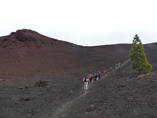 Teneriffa-Wandern-748-Samara-Botja
