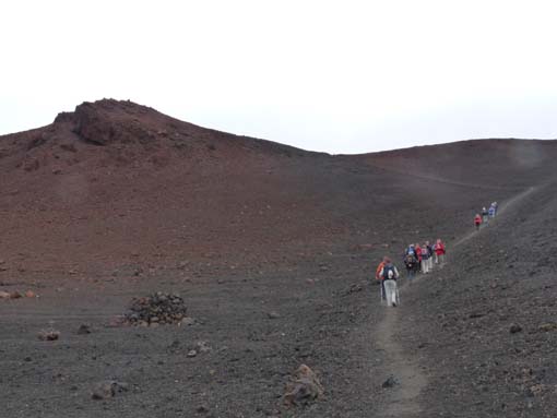 Teneriffa-Wandern-749-Samara-Botja