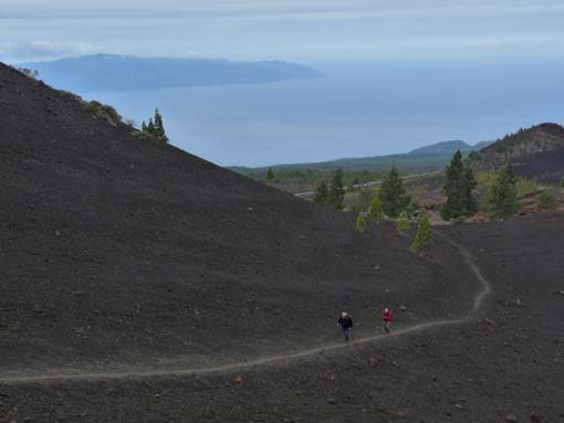 Teneriffa-Wandern-751-Samara-Botja