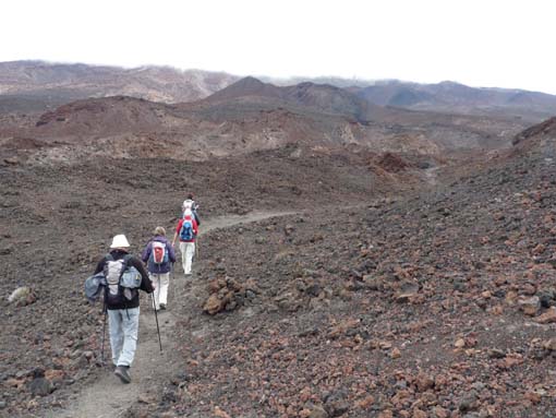 Teneriffa-Wandern-760-Samara-Botja