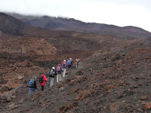 Teneriffa-Wandern-766-Samara-Botja