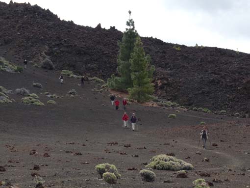 Teneriffa-Wandern-775-Samara-Botja