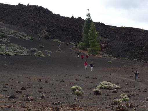 Teneriffa-Wandern-776-Samara-Botja