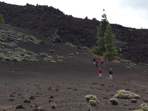 Teneriffa-Wandern-777-Samara-Botja