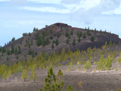 Teneriffa-Wandern-778-Samara-Botja