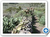 241108_Teneriffa_El_Hierro_013