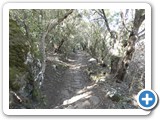 241108_Teneriffa_El_Hierro_021