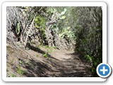 241108_Teneriffa_El_Hierro_025