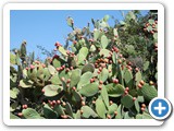 241108_Teneriffa_El_Hierro_029