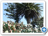 241108_Teneriffa_El_Hierro_030