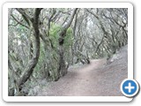 241108_Teneriffa_El_Hierro_037