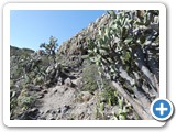 241108_Teneriffa_El_Hierro_045
