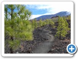 241108_Teneriffa_El_Hierro_166