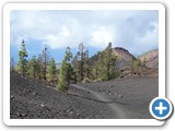 241108_Teneriffa_El_Hierro_172