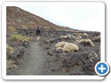 241108_Teneriffa_El_Hierro_186
