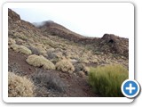 241108_Teneriffa_El_Hierro_190