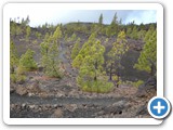 241108_Teneriffa_El_Hierro_192