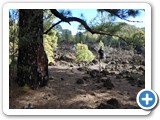 241108_Teneriffa_El_Hierro_221